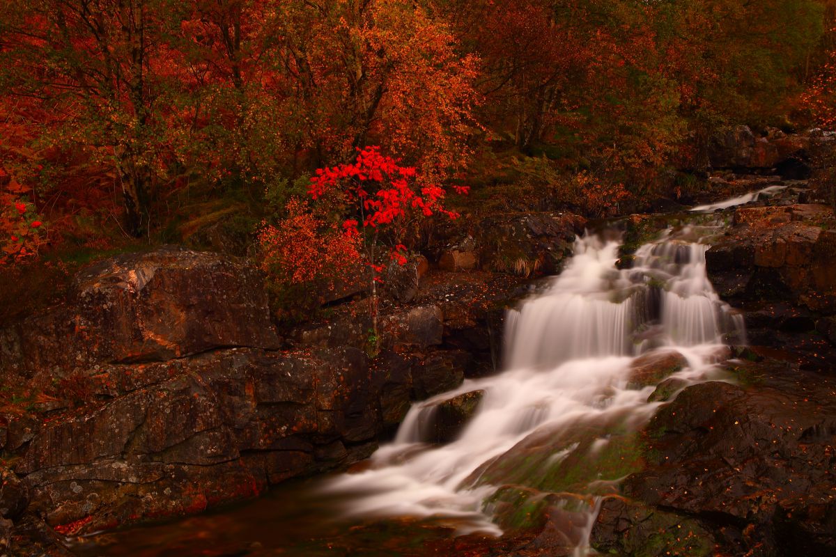 Douceur d'automne.jpg